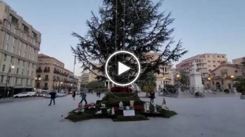 Palermo, l’albero del Politeama “cambia” ancora, ai suoi piedi oggi spunta un presepe – VIDEO