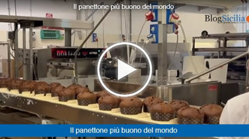 Con Nicola Fiasconaro alla scoperta dei segreti del panettone più buono del mondo – VIDEO