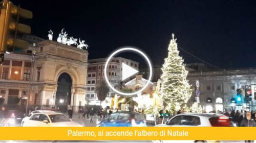 A Palermo inaugurato l’albero di Natale col sindaco Lagalla – VIDEO