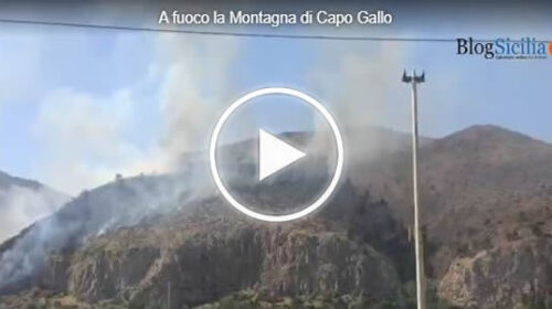 Incendi a Capogallo, residenti abbandonano le abitazioni – IL VIDEO