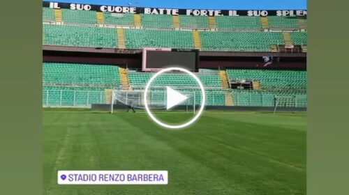 Palermo: il Renzo Barbera è pronto per l’inizio della stagione, ecco le condizioni del terreno di gioco – VIDEO