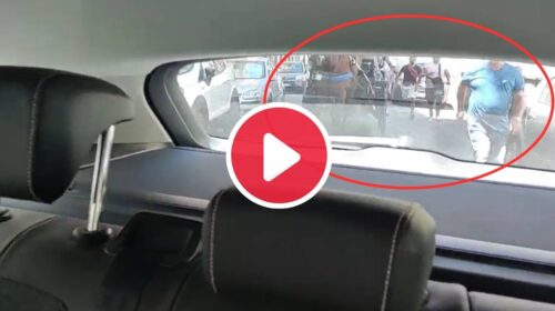 Cocchieri furiosi a caccia di Enrico Rizzi: inseguimento con i cavalli fra le vie del Centro Storico di Palermo – IL VIDEO