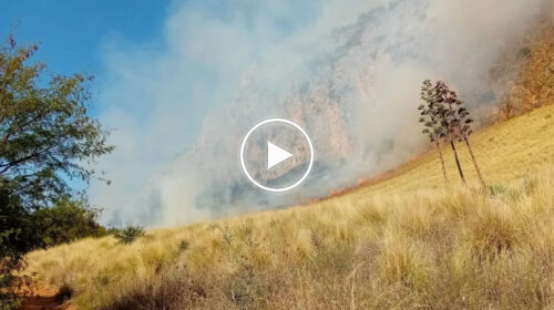 Incendio alla Favorita, fiamme nell’area di Pallavicino minacciano Monte Pellegrino – IL VIDEO