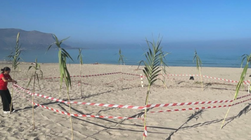 Evento eccezionale, schiusa delle uova di tartaruga nella spiaggia di Isola delle Femmine – IL VIDEO