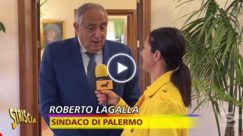 Palermo, quando rinascerà il Monte Pellegrino? Il servizio di Striscia la Notizia – IL VIDEO