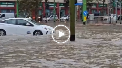 Milano si sveglia sott’acqua: allagamenti, alberi caduti e strade chiuse – IL VIDEO