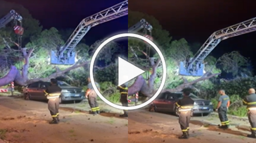 Tragedia sfiorata a Mondello, albero si schianta su un auto – IL VIDEO