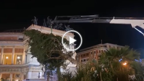 Luminarie e un abete alto 14 metri davanti il Teatro Politeama: arriva il Natale nel centro di Palermo – VIDEO