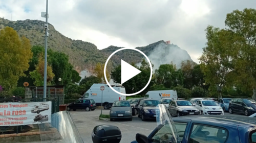 Colonna di fumo si solleva dall’Ippodromo, in corso smaltimento delle ramaglie – VIDEO