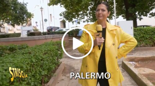 Palermo, Stefania Petyx al mercato dell’usato (o del rubato?) – IL VIDEO