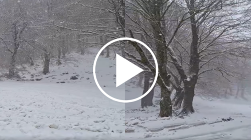 Paesaggio fiabesco a Piano Battaglia, le immagini della nevicata di stamattina – IL VIDEO