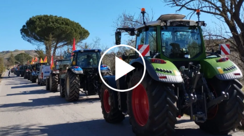 Cinquecento trattori in marcia sulle Madonie, nuova protesta degli agricoltori siciliani – IL VIDEO