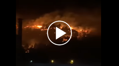 Vasto incendio a Castellammare del Golfo: forti raffiche di vento alimentano le fiamme – IL VIDEO