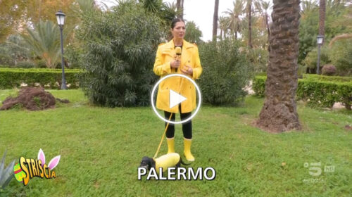 Striscia la Notizia: “Palermo, è arrivato il giorno delle buone notizie” – IL VIDEO