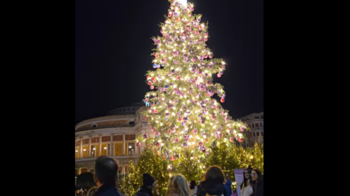 Palermo, accese le luci dell’albero di Natale in piazza Politeama – IL VIDEO